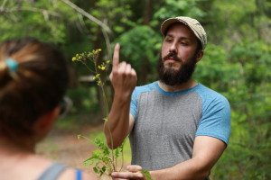 wild-plant-identification
